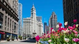 Chicago hoteloverzicht