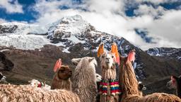 Cuzco hoteloverzicht