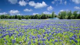 Hotels in Texas