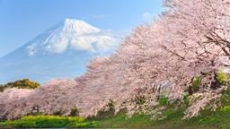 Hotels in Tokio