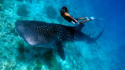 Hotels in Maldiven