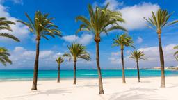Hotels in S'Arenal