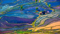Hotels in Provincie Yunnan