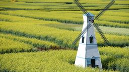 Hotels in China