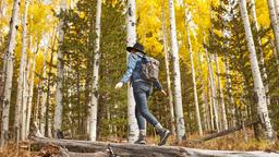 Hotels in Flagstaff