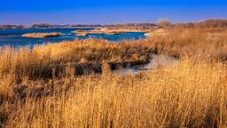 Hotels dichtbij Luchthaven van Grand Island