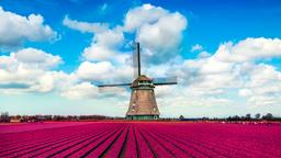Vind goedkope vluchten naar Nederland