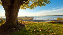Hotels dichtbij Paine Field luchthaven