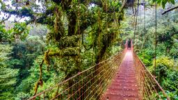 Monteverde hoteloverzicht