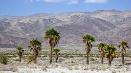 Hotels in Indio