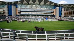 Hotels dichtbij Qipco British Champions Day