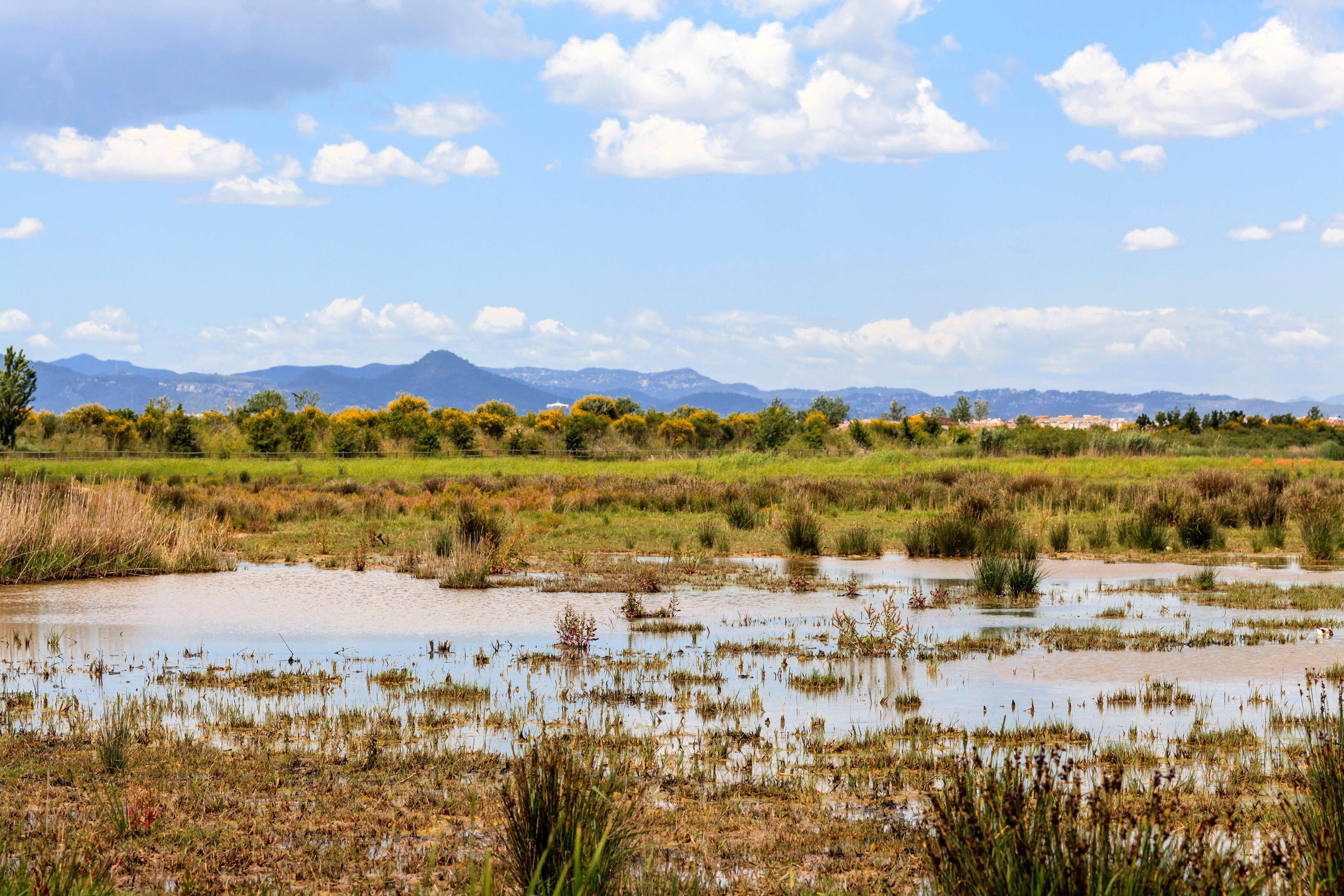 el Prat de Llobregat autoverhuur