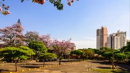 Hotels in Londrina
