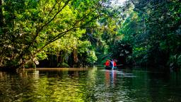 Tortuguero hoteloverzicht