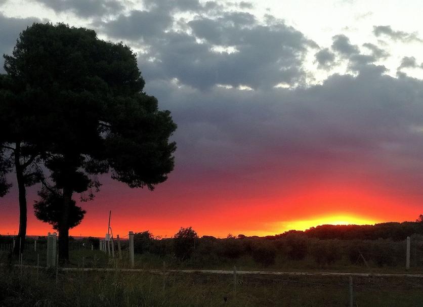Buiten zicht Foto's