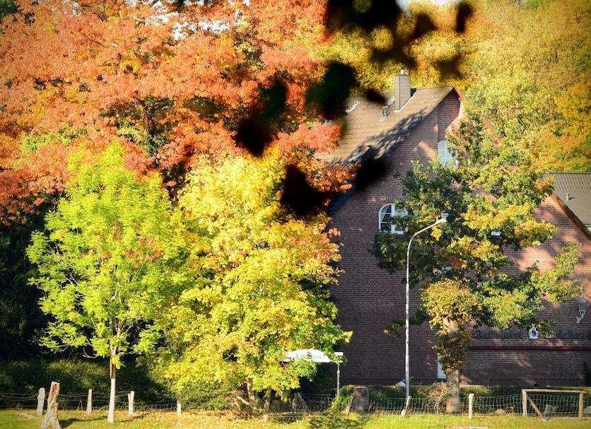 Buiten zicht Foto's