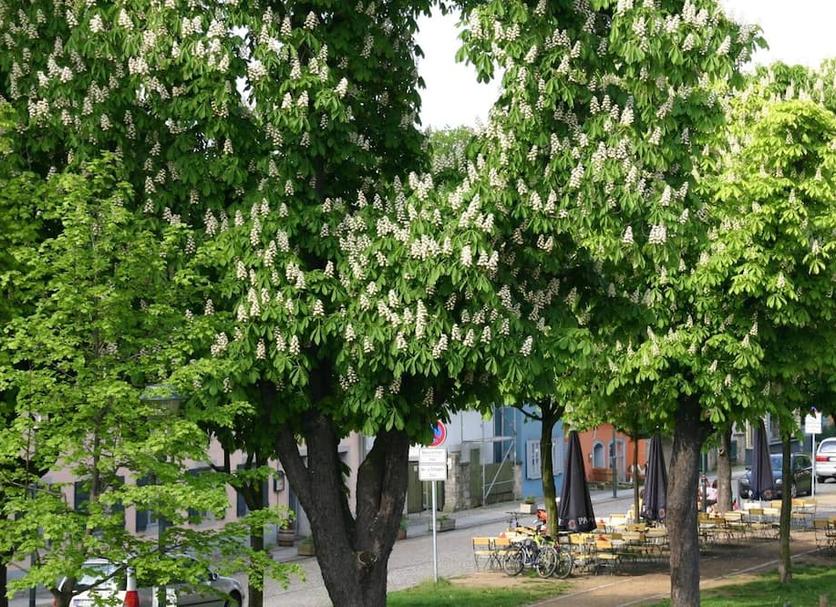 Buiten zicht Foto's