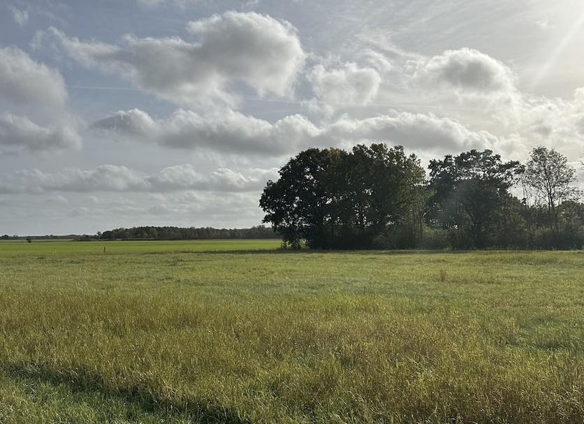 Buiten zicht Foto's