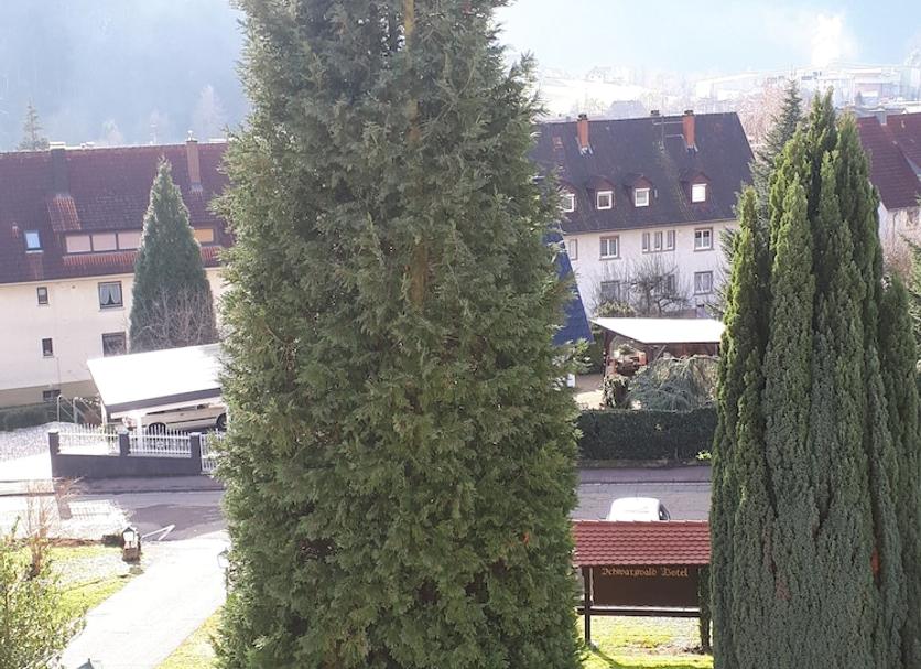 Buiten zicht Foto's