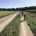 Andere