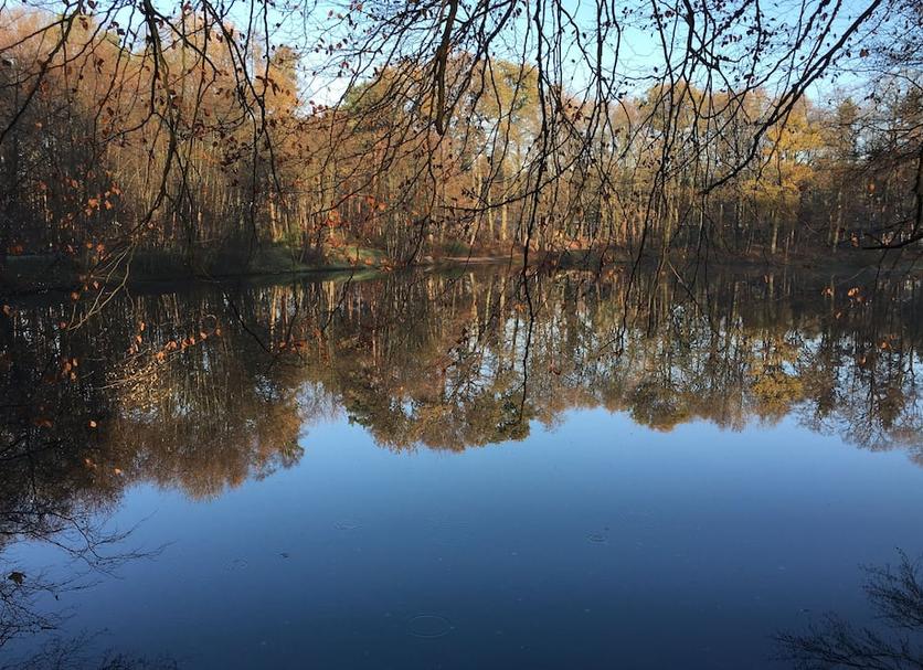 Buiten zicht Foto's