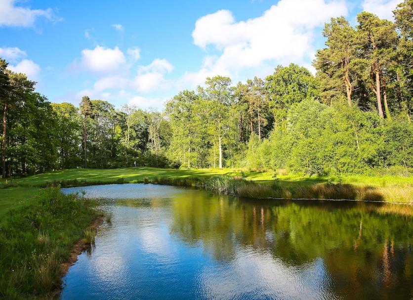 Buiten zicht Foto's
