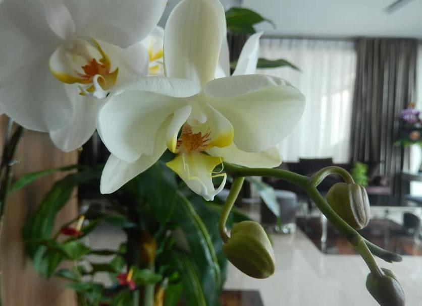 Andere Foto's