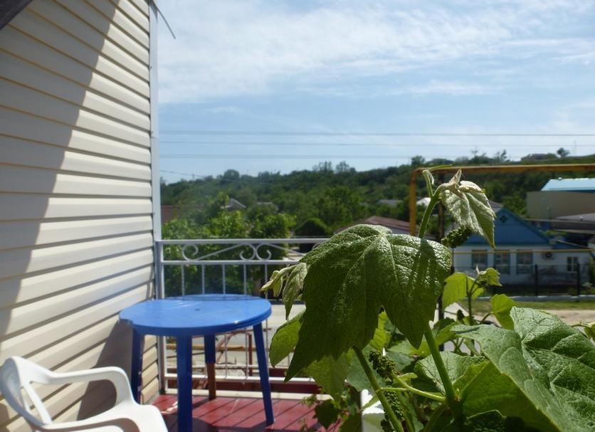Balkon Foto's