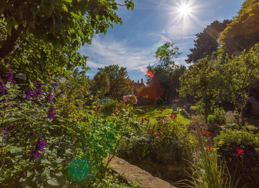 Buiten zicht Foto's