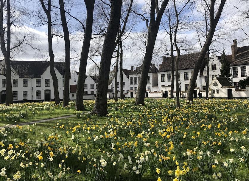 Buiten zicht Foto's