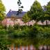 Gebouw