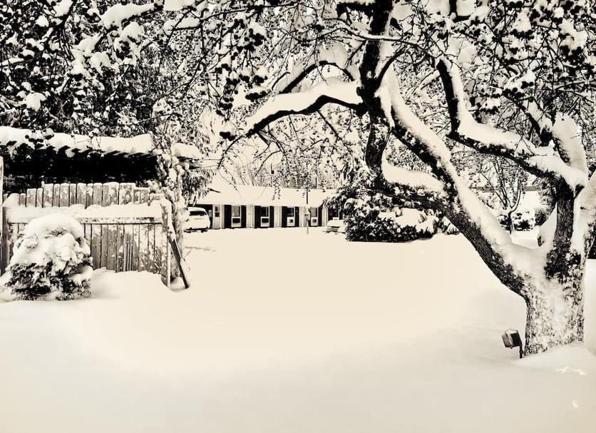 Buiten zicht Foto's