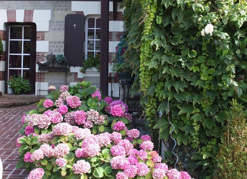 Buiten zicht Foto's