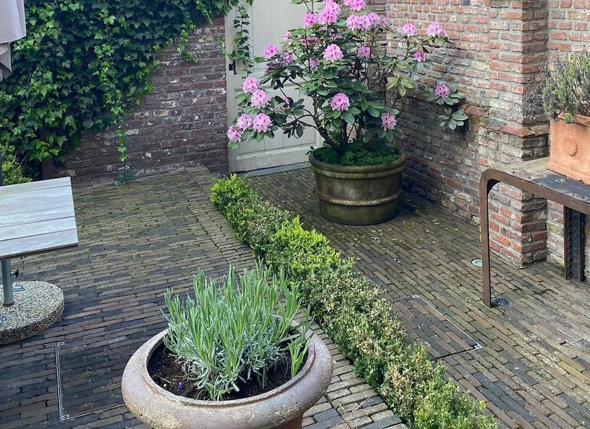 Buiten zicht Foto's