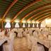 Feestzaal