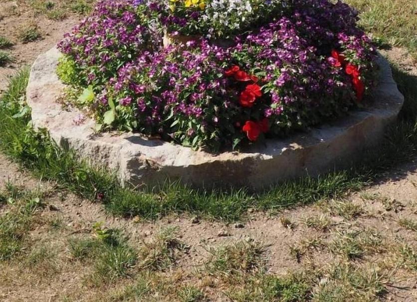 Buiten zicht Foto's