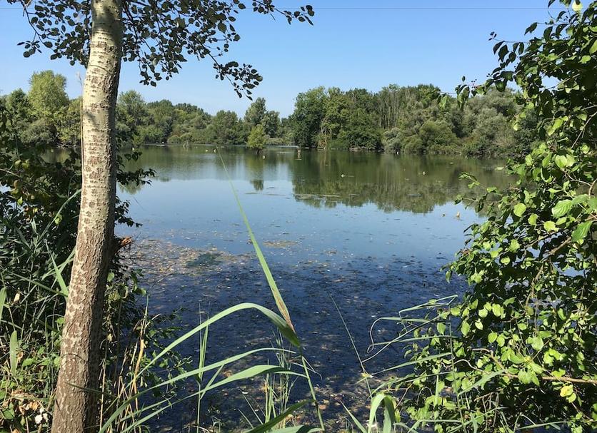 Buiten zicht Foto's