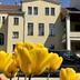 Parkeerplaats