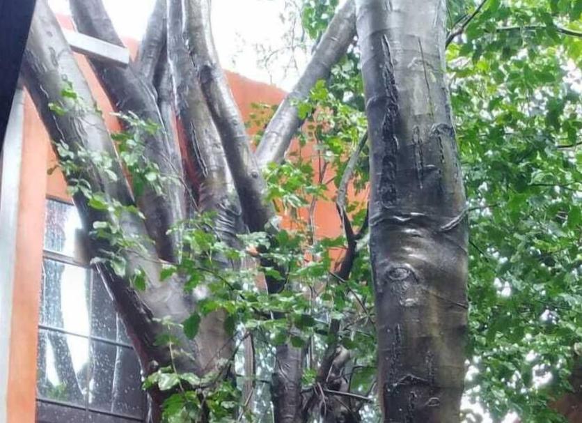 Buiten zicht Foto's