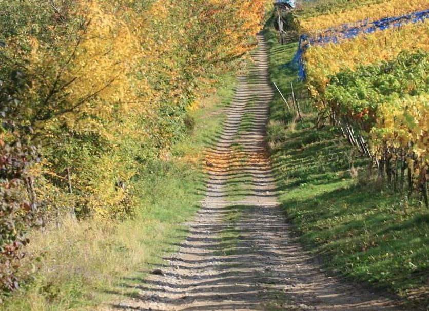 Buiten zicht Foto's