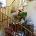 Trappen