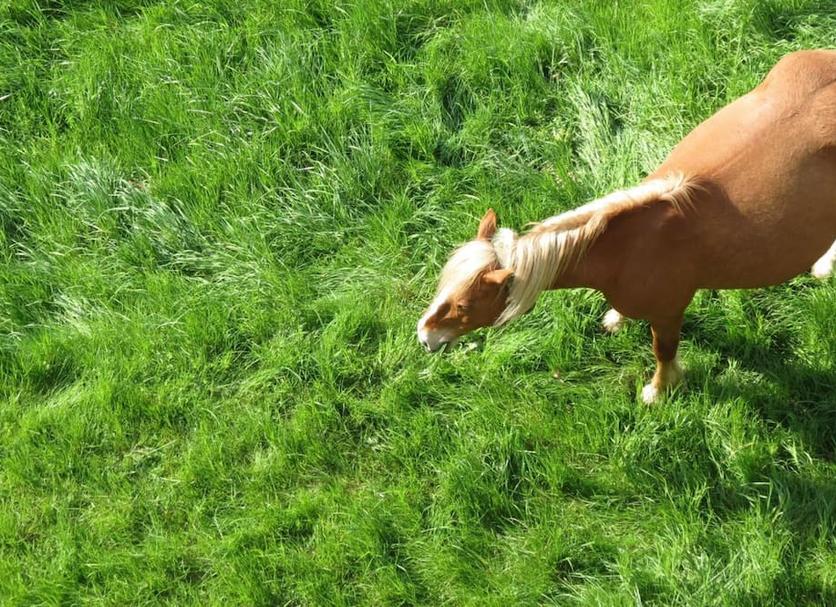 Andere Foto's