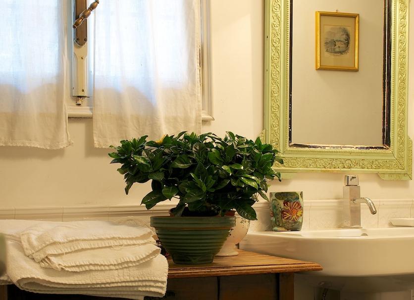 Badkamer Foto's