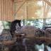 Andere