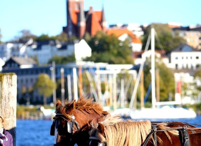 Andere Foto's
