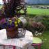 Andere