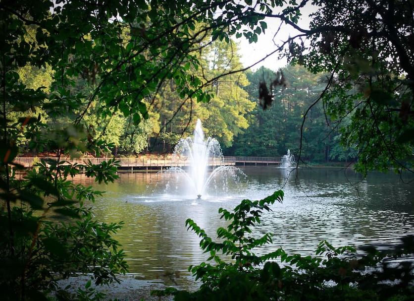 Buiten zicht Foto's