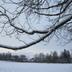 Andere