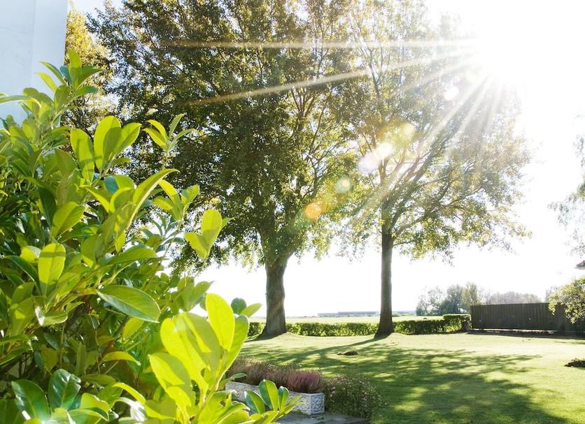 Buiten zicht Foto's