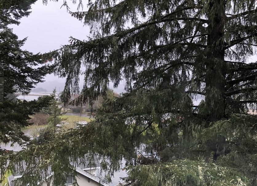Buiten zicht Foto's